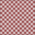 JLE Gingham Cotton