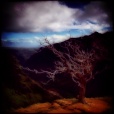 Variation 1