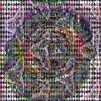 Variation 7