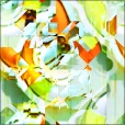 Variation 3
