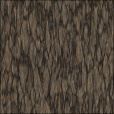 Diffuse Map