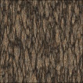 Pine Bark