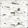 Diffuse Map