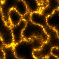Fire Trails