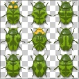 Variation 3