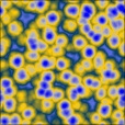 Diffuse Map
