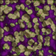 Variation 3
