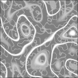 Bump Map