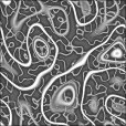 Diffuse Map