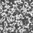 Bump Map