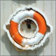 Diffuse Map