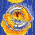 Variation 3