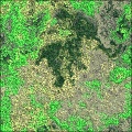 Delicate Moss and More