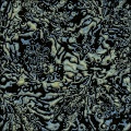 Hypercomplex Organic Pattern
