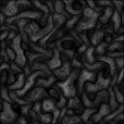 Bump Map