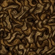 Diffuse Map