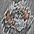 Variation 3