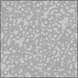 Bump Map