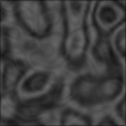 Bump Map