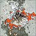 Obliteration Filter