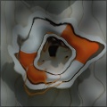 Looking Through Water