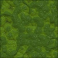 Green Alien Skin
