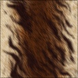 Diffuse Map