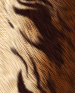 Animal Fur