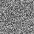 Bump Map