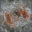 Variation 1
