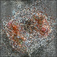 Variation 7