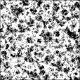 Bump Map