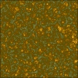 Diffuse Map