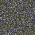 Variation 4