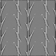 Bump Map