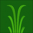 Diffuse Map