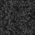 Bump Map