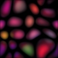 Diffuse Map