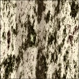 Diffuse Map