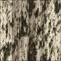 bark