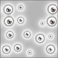 Variation 8