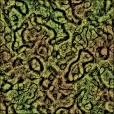 Diffuse Map