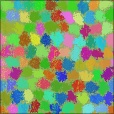 Variation 8