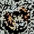 Variation 7
