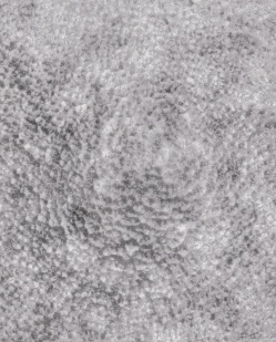 Creature Skin
