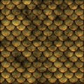 Skin Scales