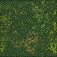 Diffuse Map