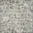 Diffuse Map