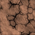 Lake Bed