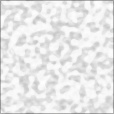 Bump Map